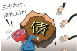 整治零用贷催收：构建和谐社会金融秩序的新篇章